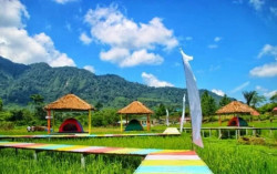 Wisata Tidur di Sawah Jadi Tren di Sumatera