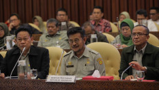 DPR Tanya Soal Impor Beras, Begini Jawaban Mentan