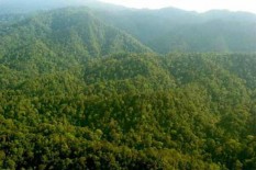 Pemerintah Terus Permudah Pengadaan Tanah untuk Kepentingan Umum 