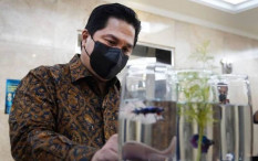 Selain Beli Persis Solo, Erick Thohir Juga Beli Klub Liga Inggris