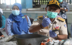 Ikan Segar Dicek Suhu? Ini Manfaatnya..