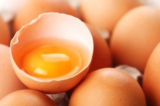 Lesu? Yuk Konsumsi Makanan Ini untuk Menambah Energimu