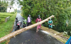 Ini Sebaran Data Kerusakan di Sleman Akibat Cuaca Ekstrem Minggu Sore