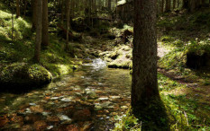 Sungai di Gunungkidul Tercemar E.coli