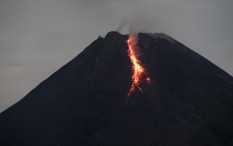 Masih Bergejolak, Merapi Luncurkan 5 Awan Panas & 19 Lava Pijar