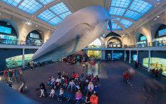 Wow, Divaksin Bisa Sembari Wisata Museum Sejarah Alam Amerika