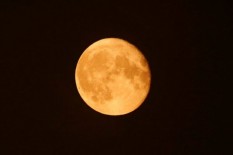 Malam Ini Pink Supermoon, Kondisi Bulan Terbesar dan Tercerah di 2021