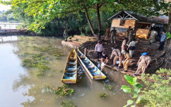 Jaga Ekosistem, Puluhan Ribu Ikan Endemik Lokal Disebar di Sungai Klayar