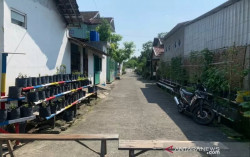 23 Orang Terpapar Covid-19, Satu RT di Solo Isolasi