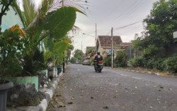 Purwokinanti Dikembangkan Jadi Kampung Hijau