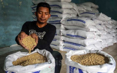 Kedelai Impor Kian Mahal, Ukuran Tahu-Tempe Bakal Ciut