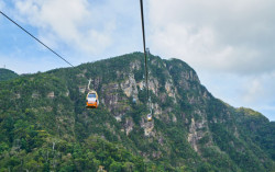 Kereta Gantung Wisata Jatuh di Pegunungan Alpen, 14 Orang Tewas 