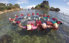 Intip 5 Destinasi Wisata Bahari Ekostis di Jogja