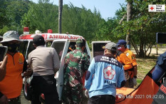 Pikap Tabrak Pohon, 7 Orang Meninggal Dunia 