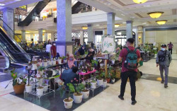 “Fascinating June” di Sleman City Hall 
