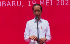 Indonesia sedang Kembangkan Kawasan Industri Hijau Terbesar di Dunia