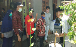 UMY Dorong Pemanfaatan Pekarangan sebagai Lumbung Hidup Keluarga