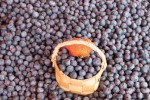 Ingin Turunkan Tekanan Darah Tinggi? Konsumsi Buah-buahan Ini!