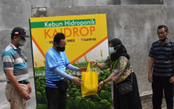Warga Mantrijerion Manfaatkan Lahan Kosong untuk Tanaman Hidroponik
