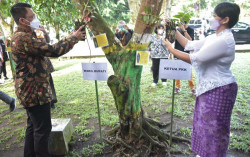 650 Anggrek Ditanam di Kompleks Perkantoran Pemkab Sleman
