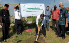 PLN Beri Bantuan Penanaman Bibit Kelapa Mentok di Kebumen