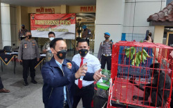 Pura-pura Jadi Pembeli, Polda DIY Ringkus Dua Pelaku Jual-Beli Burung dan Lutung Budeng