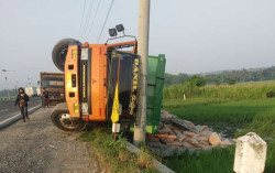 Talut Tak Kuat Menopang, Truk Bermuatan Semen Terguling ke Sawah di Jalan Wates
