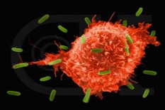 Begini Cara Meningkatkan Kekebalan Tubuh Anda di Tengah Pandemi