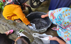 Begini Perjuangan Perempuan Pekerja Rumahan Menjaga Ketahanan Pangan Saat Pandemi 