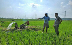 Electrifying Agriculture, Bentuk Dukungan PLN bagi untuk Pertanian, Perikanan, Perkebunan dan Peternakan