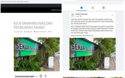 UMY Dampingi Bisnis Tanaman Hias Melalui Digital Marketing