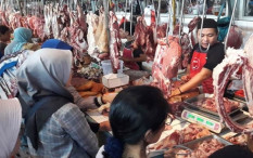 OPINI: Ancaman Depopulasi Sapi