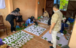 KKN UMY Berdayakan Perempuan Melalui Pelatihan Pembuatan Kain Ecoprint