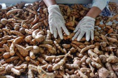 Ekspor Jamu dan Suplemen Herbal ke Nigeria Diprediksi Meroket