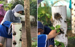 UMY Dorong Warga Ngangkruk Manfaatkan Lahan Sempit untuk Budi Daya Tanaman
