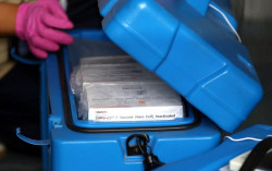 Percepat Vaksinasi, DIY Minta Tambahan Vaksin Covid-19 dari Pusat