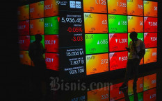 OPINI: Saatnya Menjadi Investor di Negeri Sendiri  
