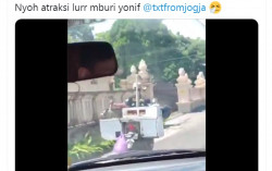 Viral Atraksi Berbahaya Penjual Tahu Bulat di Jogja, Melaju Sambil Ngaduk Gorengan