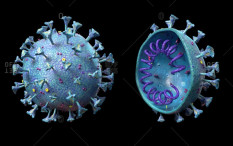 Bukan Varian Delta, Ini Jenis Virus Corona yang Lebih Mematikan