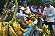Pandemi, Konsumsi Buah Lokal Diharapkan Meningkat