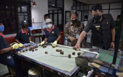 Petani Salak di Sleman Berharap Ekspor Melalui Jalur Penerbangan