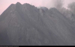 Muncul Satu Awan Panas, Aktivitas Merapi Menurun