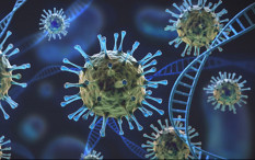 China Bantah Tuduhan AS Terkait Penyelidikan Asal-Usul Virus Corona