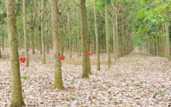 Mahasiswa UII Angkat Penelitian soal Kecurangan Kerja