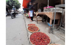 Cabai Kering dan Cabai Bubuk Solusi saat Harga Cabai Anjlok