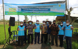 Berkat Program Electrifying Lifestyle, Petani Tetap Panen di Musim Panas 