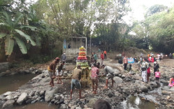 Warga Pucanganom Jaga Biota dan Vegetasi untuk Kelestarian Sungai