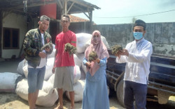Dosen UAD Olah Rumput Laut Jadi Tepung Gelatin & Kapsul Halal