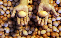 5 Makanan Ini Membantu Mengurangi Lemak Perut