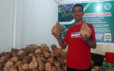 Menantu Jokowi Tunjuk Pedagang Kelapa Jadi Dirut Perumda